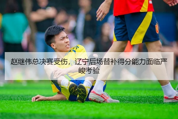 赵继伟总决赛受伤，辽宁后场替补得分能力面临严峻考验