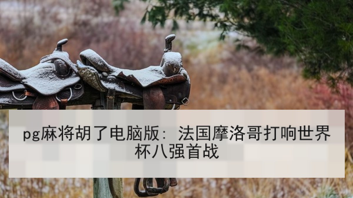 pg麻将胡了电脑版: 法国摩洛哥打响世界杯八强首战