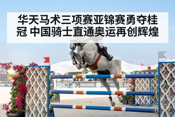 show jumping horse competition